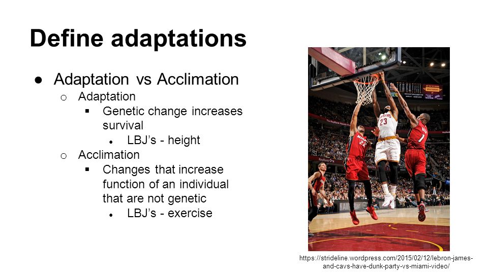Define adaptations ●Adaptation vs Acclimation o Adaptation  Genetic change increases survival ● LBJ’s - height o Acclimation  Changes that increase function of an individual that are not genetic ● LBJ’s - exercise   and-cavs-have-dunk-party-vs-miami-video/