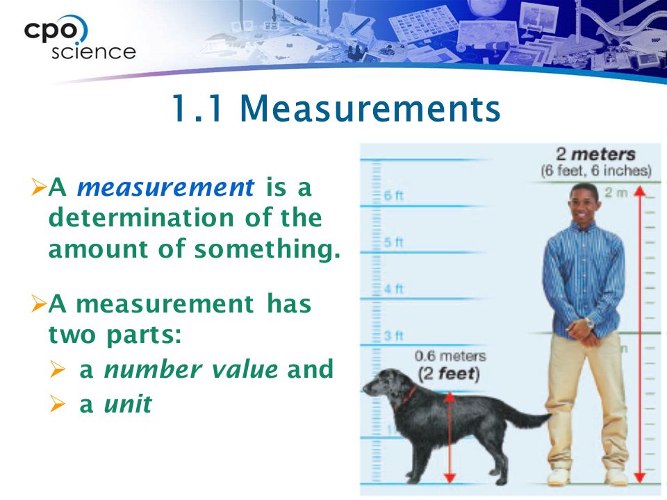 MEASUREMENT. Chapter One: Measurement  1.1 Measurements  1.2 Time and  Distance  1.3 Converting Measurements  1.4 Working with Measurements. -  ppt download