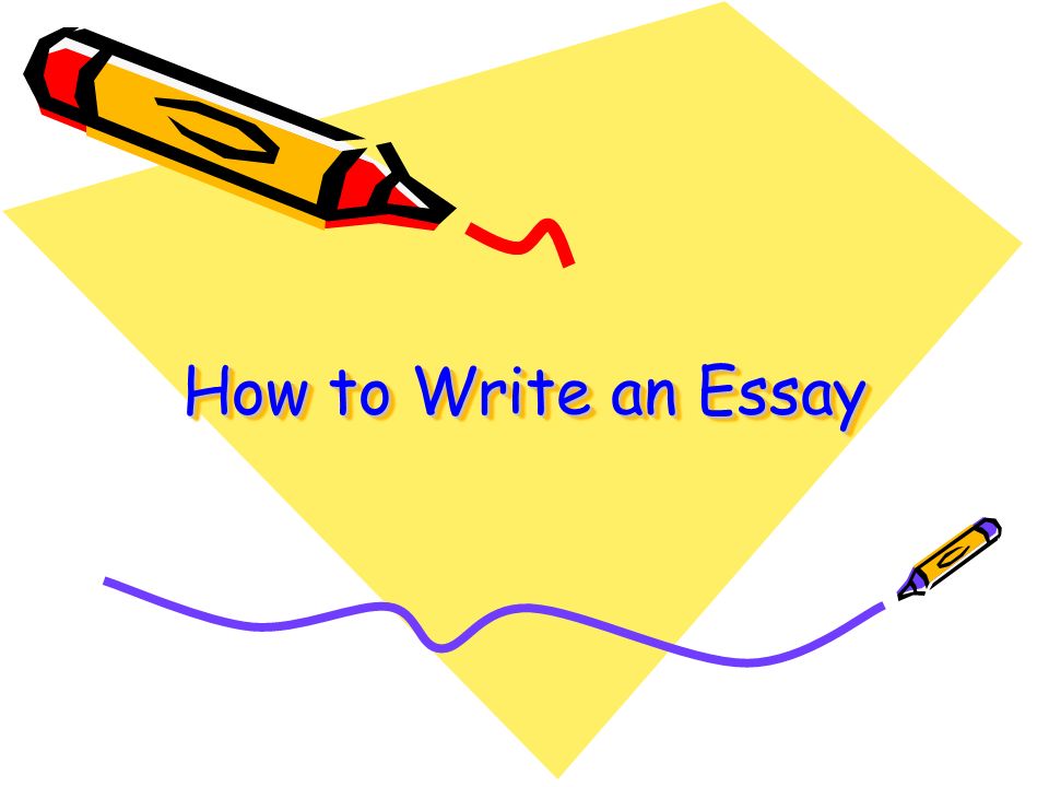 What are five types of essays