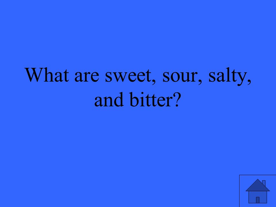 What are sweet, sour, salty, and bitter