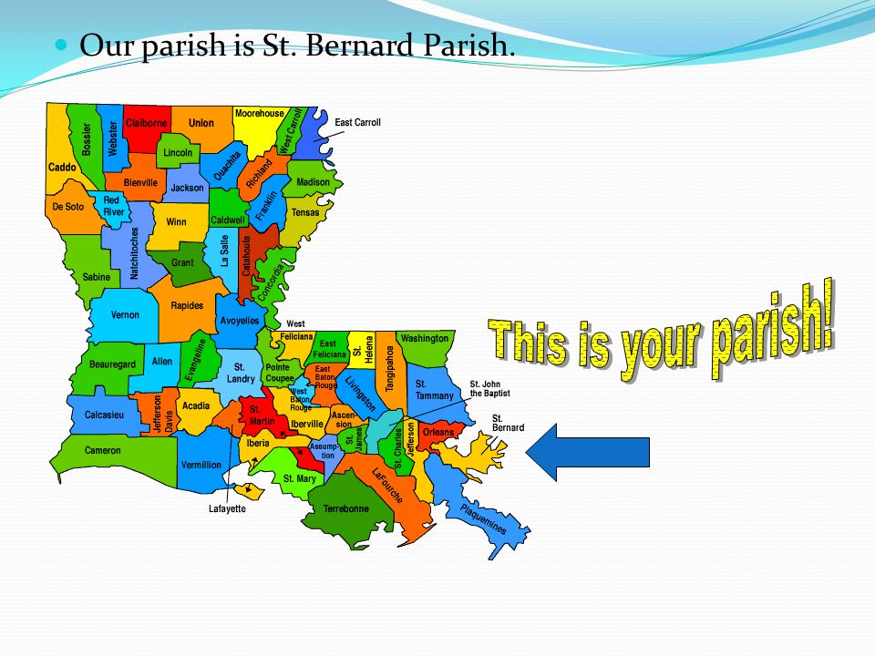 Our parish is St. Bernard Parish.