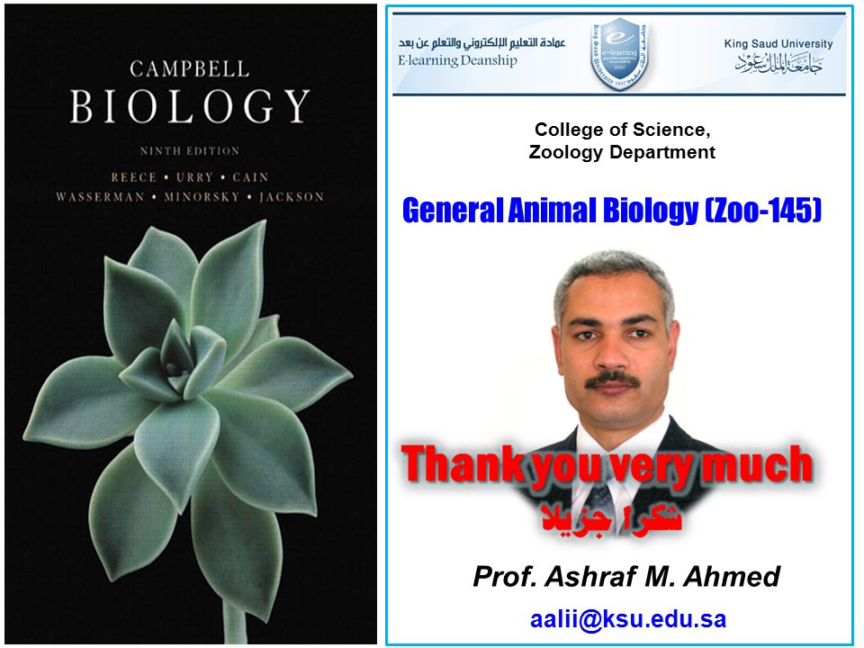 Prof. Ashraf M.