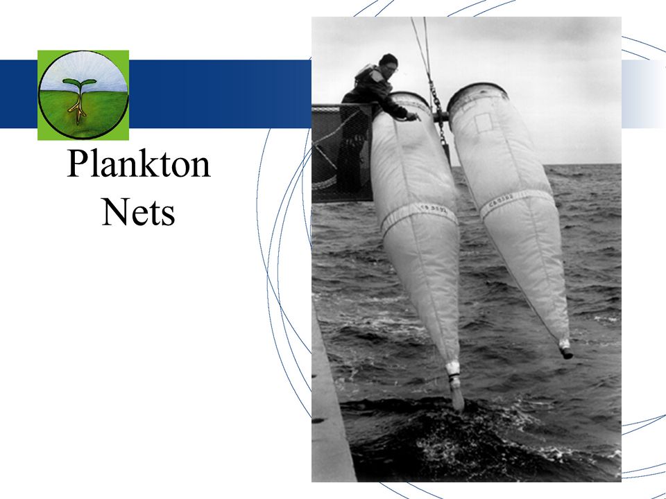 All about Plankton. Phytoplankton Microscopic plants that drift in