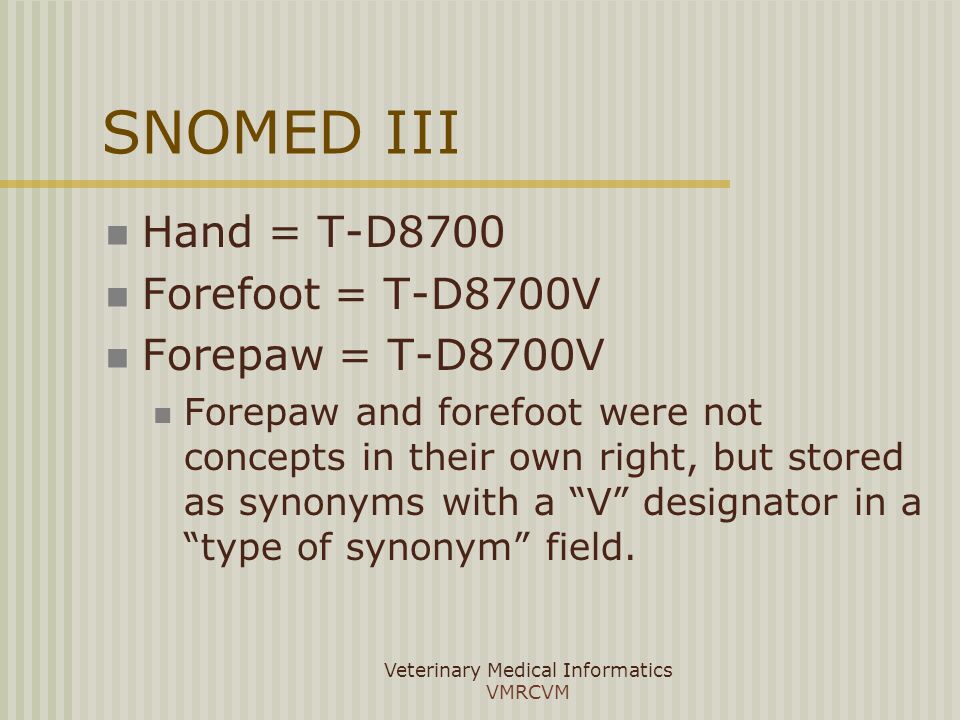 Veterinary Medical Informatics Vmrcvm Conduits Between Anatomical Hierarchies In Snomed Dr Jeff R Wilcke Dr Penny Livesay Dr Larry Freeman Ppt Download Veterinary Medical Informatics Vmrcvm Conduits Between Anatomical Hierarchies In Snomed Dr Jeff R Wilcke Dr Penny Livesay Dr Larry Freeman Ppt Download