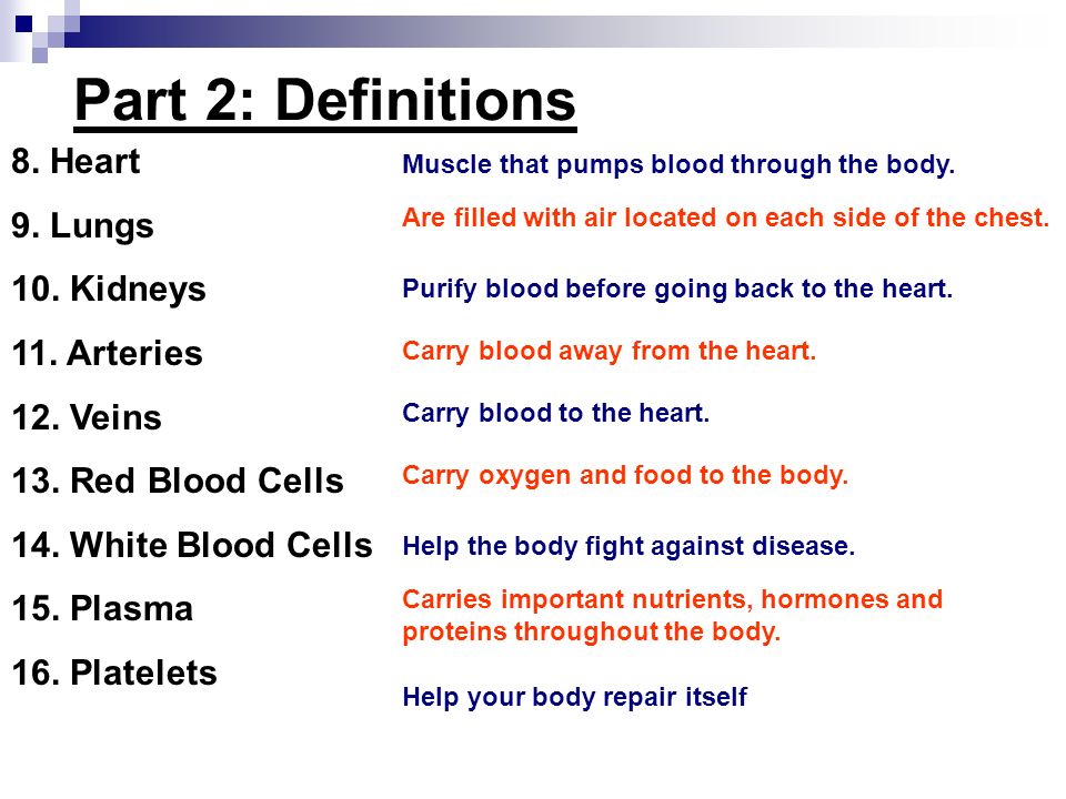 Part 2: Definitions 8. Heart 9. Lungs 10. Kidneys 11.