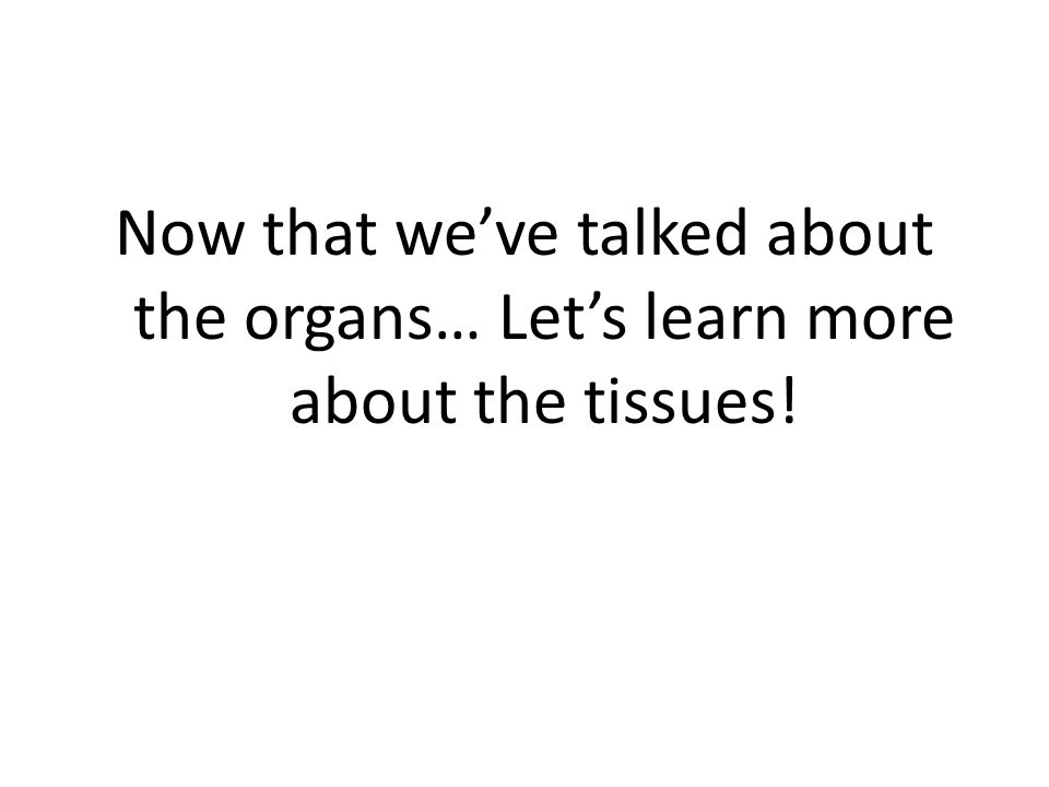 Now that we’ve talked about the organs… Let’s learn more about the tissues!