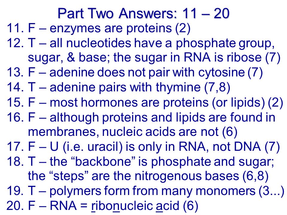 Part Two Answers: 11 – F – enzymes are proteins (2) 12.T – all nucleotides have a phosphate group, sugar, & base; the sugar in RNA is ribose (7) 13.F – adenine does not pair with cytosine (7) 14.T – adenine pairs with thymine (7,8) 15.F – most hormones are proteins (or lipids) (2) 16.F – although proteins and lipids are found in membranes, nucleic acids are not (6) 17.F – U (i.e.