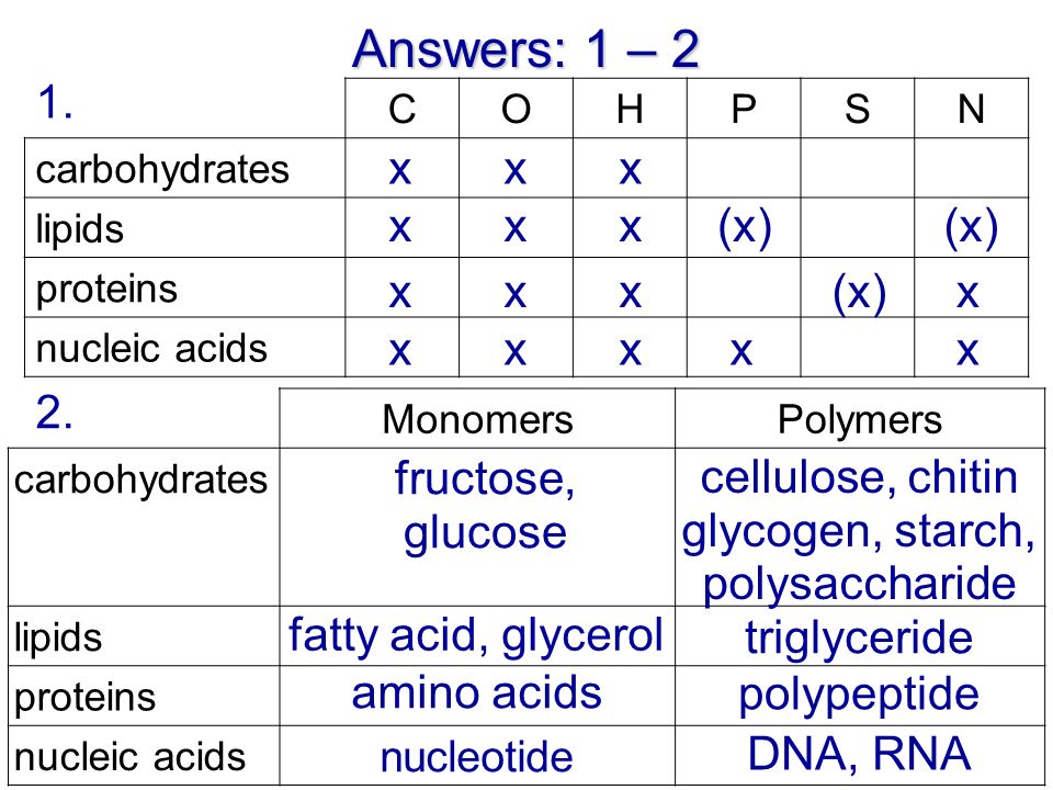 Answers: 1 – 2 COHPSN carbohydrates lipids proteins nucleic acids x 1.