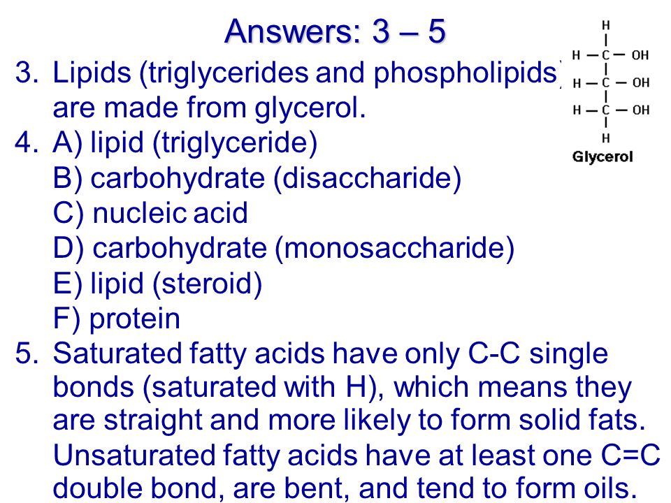Answers: 3 – 5 3.Lipids (triglycerides and phospholipids) are made from glycerol.
