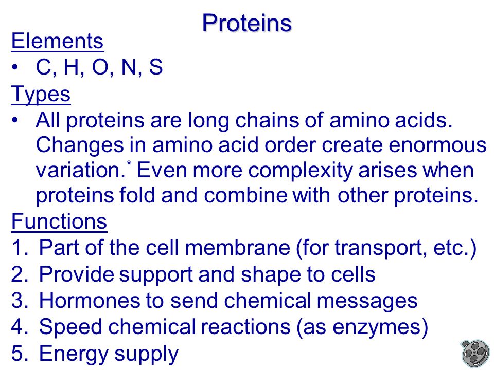 Proteins Elements C, H, O, N, S Types All proteins are long chains of amino acids.