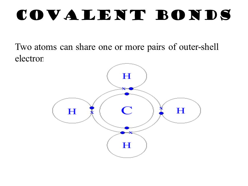 Electrons are shared equally NONPOLAR COVALENT BONDS H 2 or Cl 2