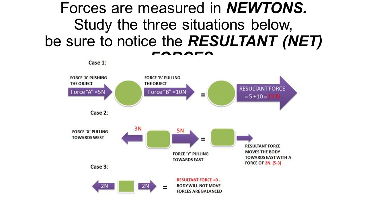Forces are measured in NEWTONS.