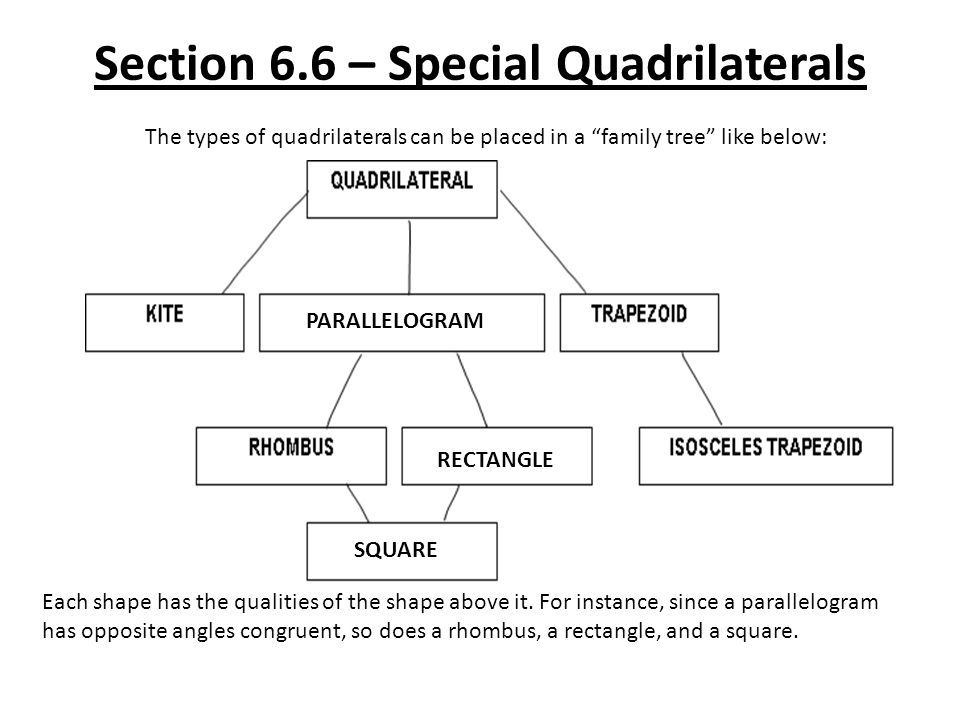 Section 6.6 – Special Quadrilaterals The types of quadrilaterals can be placed in a family tree like below: Each shape has the qualities of the shape above it.
