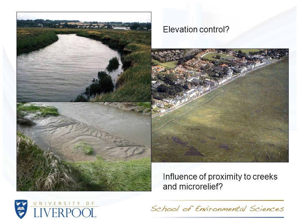 Influence of proximity to creeks and microrelief Elevation control