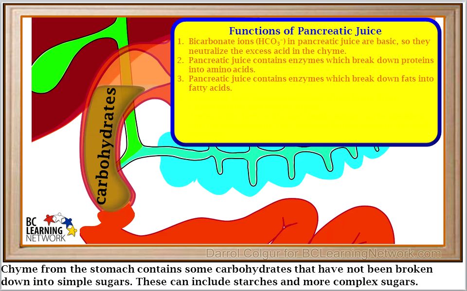 Chyme from the stomach contains some carbohydrates that have not been broken down into simple sugars.