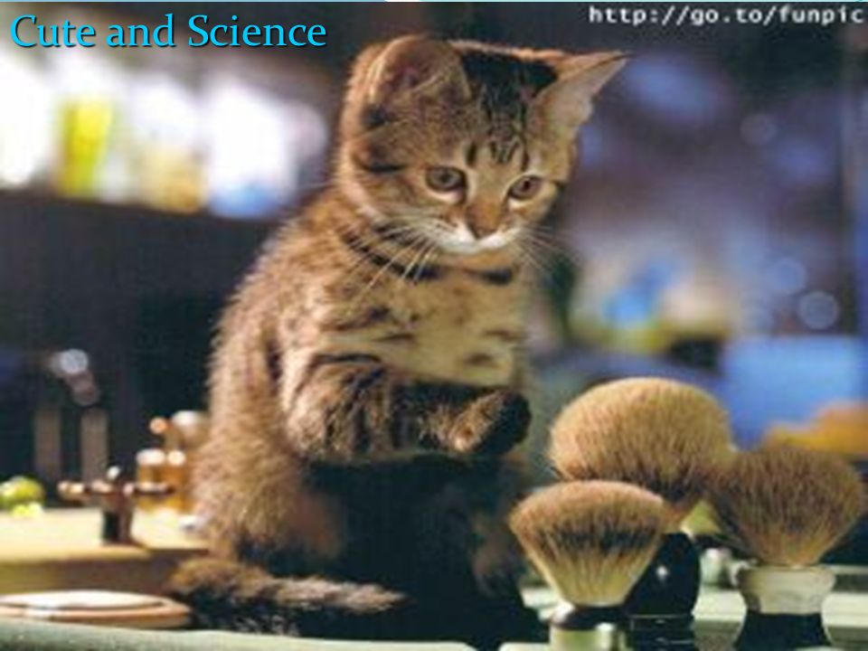 Cute and Science