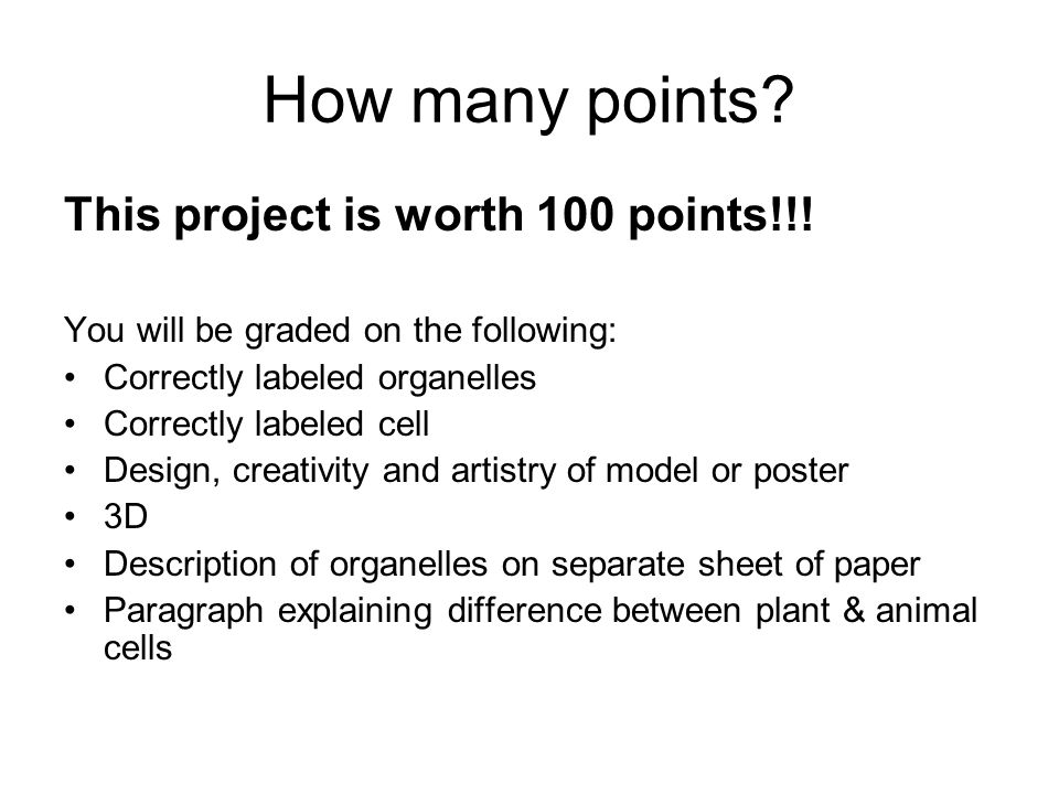 How many points. This project is worth 100 points!!.