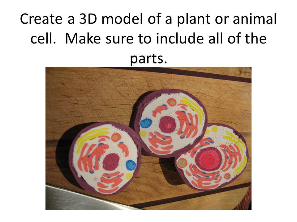 Cell project choices:. Create a 3D model of a plant or animal cell. Make  sure to include all of the parts. - ppt download