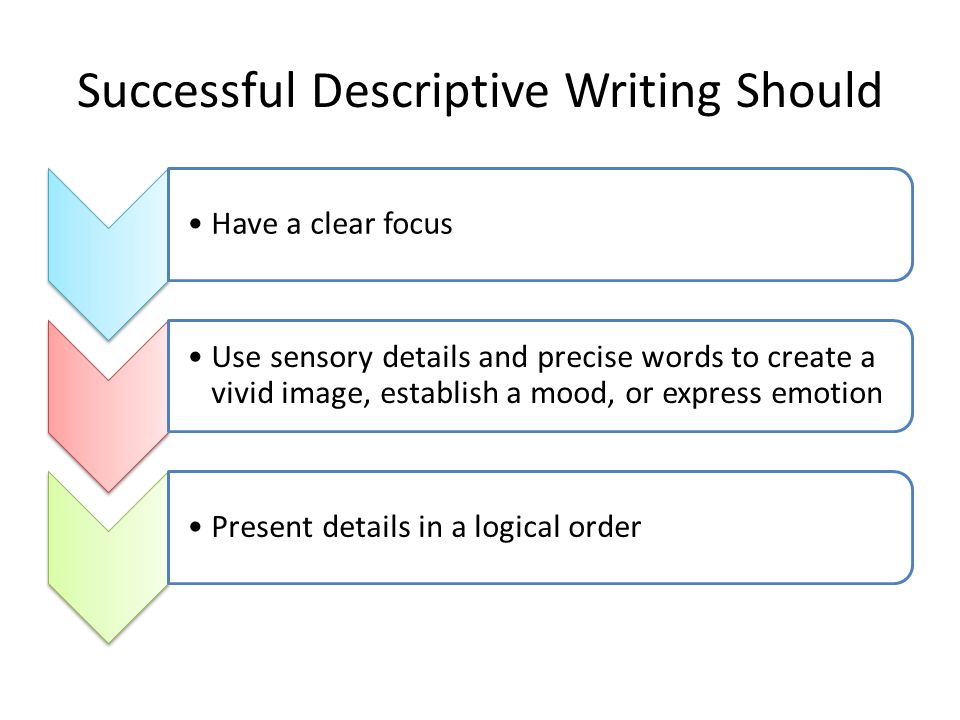 Linguistic human rights essay