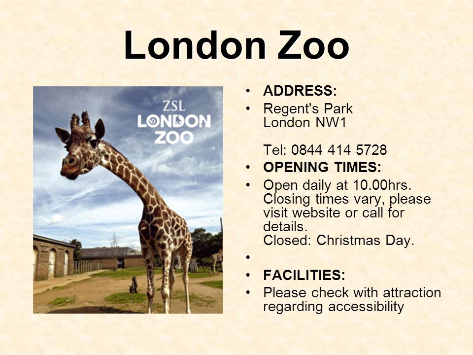 Текст зоопарк 10. Лондонский зоопарк на английском. Лондонский зоопарк (London Zoo). Лондонский зоопарк буклет. London Zoo презентация.
