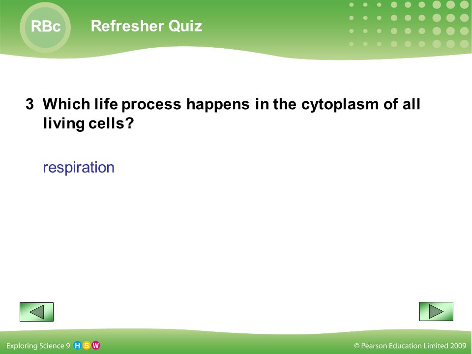 Refresher Quiz RBc 3 Which life process happens in the cytoplasm of all living cells respiration