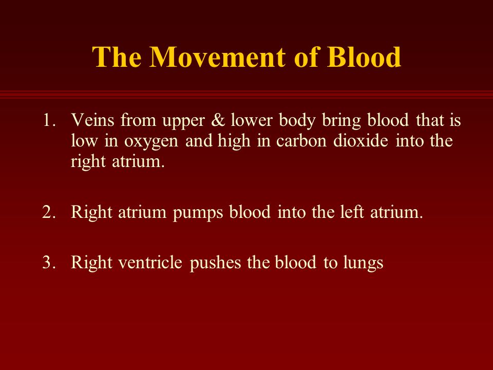 The Movement of Blood 1.Veins from upper & lower body bring blood that is low in oxygen and high in carbon dioxide into the right atrium.