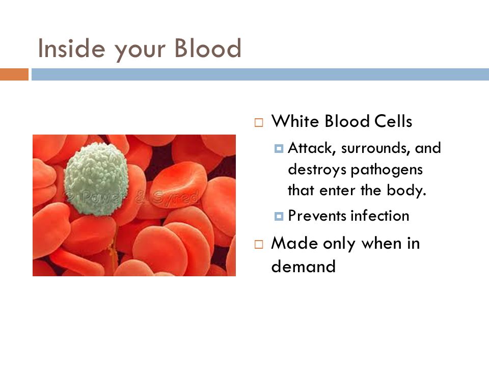 Inside your Blood  White Blood Cells  Attack, surrounds, and destroys pathogens that enter the body.