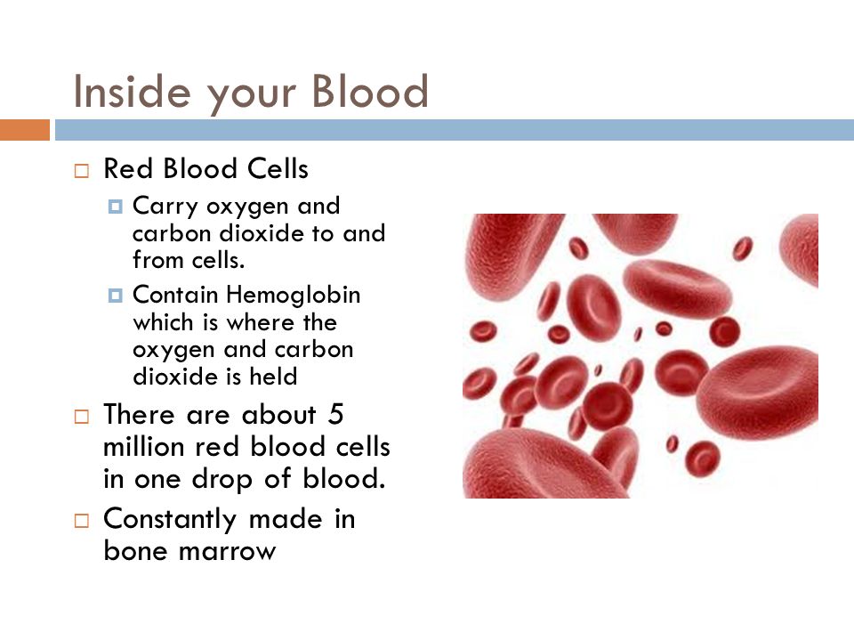 Inside your Blood  Red Blood Cells  Carry oxygen and carbon dioxide to and from cells.