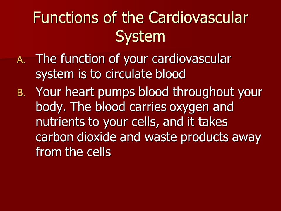 Functions of the Cardiovascular System A.