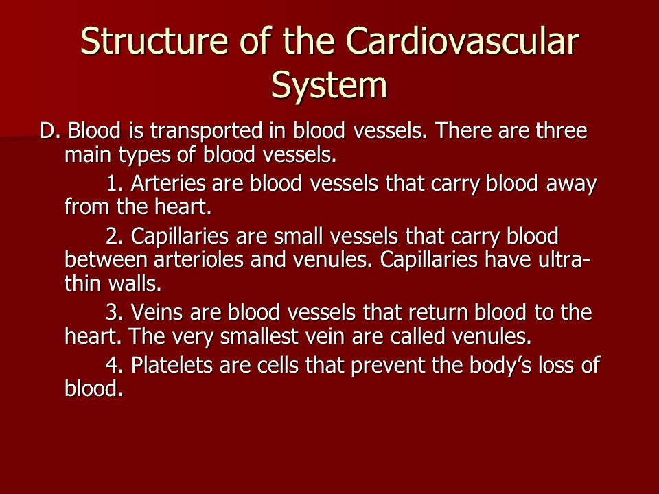 Structure of the Cardiovascular System D. Blood is transported in blood vessels.