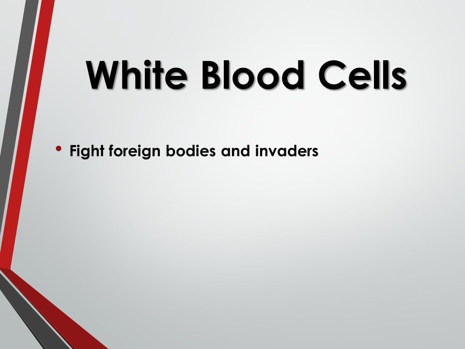 White Blood Cells Fight foreign bodies and invaders