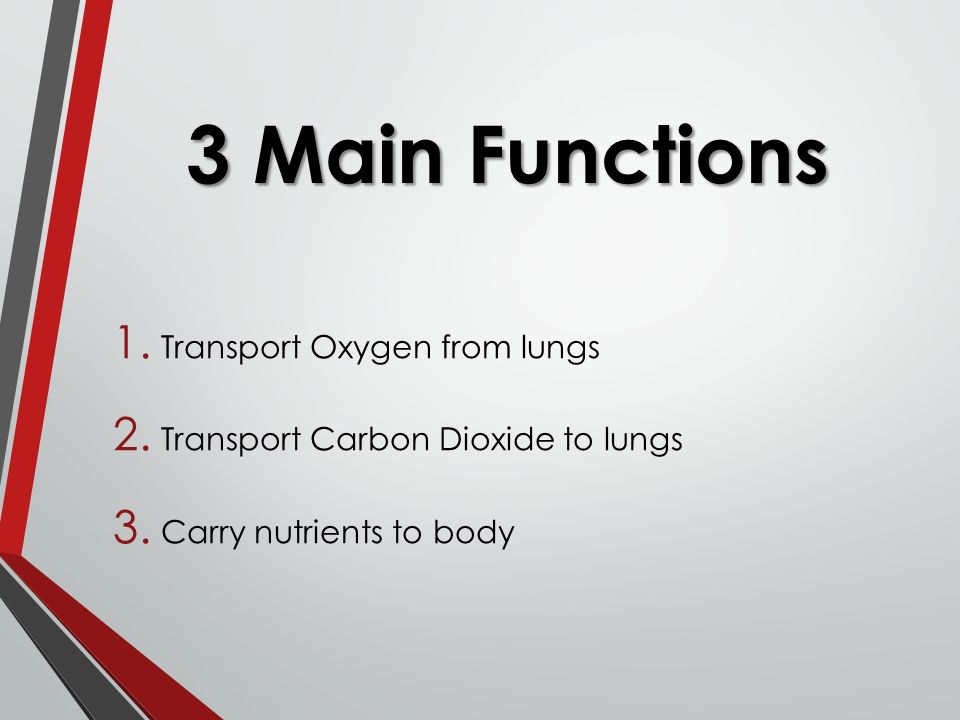 3 Main Functions 1. Transport Oxygen from lungs 2.