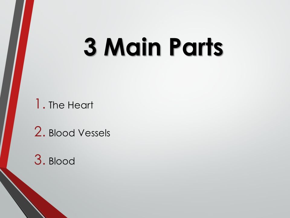3 Main Parts 1. The Heart 2. Blood Vessels 3. Blood