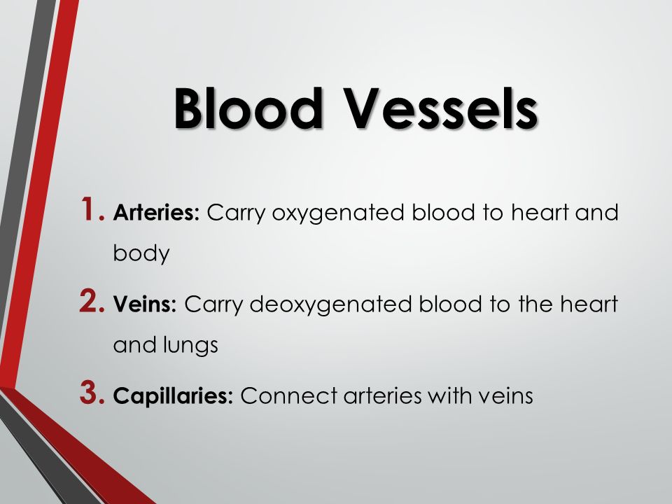 Blood Vessels 1. Arteries: Carry oxygenated blood to heart and body 2.