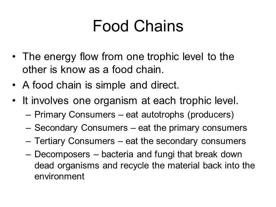 Food Chains The energy flow from one trophic level to the other is know as a food chain.