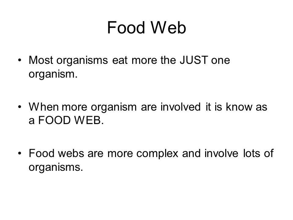 Food Web Most organisms eat more the JUST one organism.