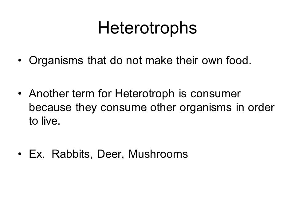 Heterotrophs Organisms that do not make their own food.