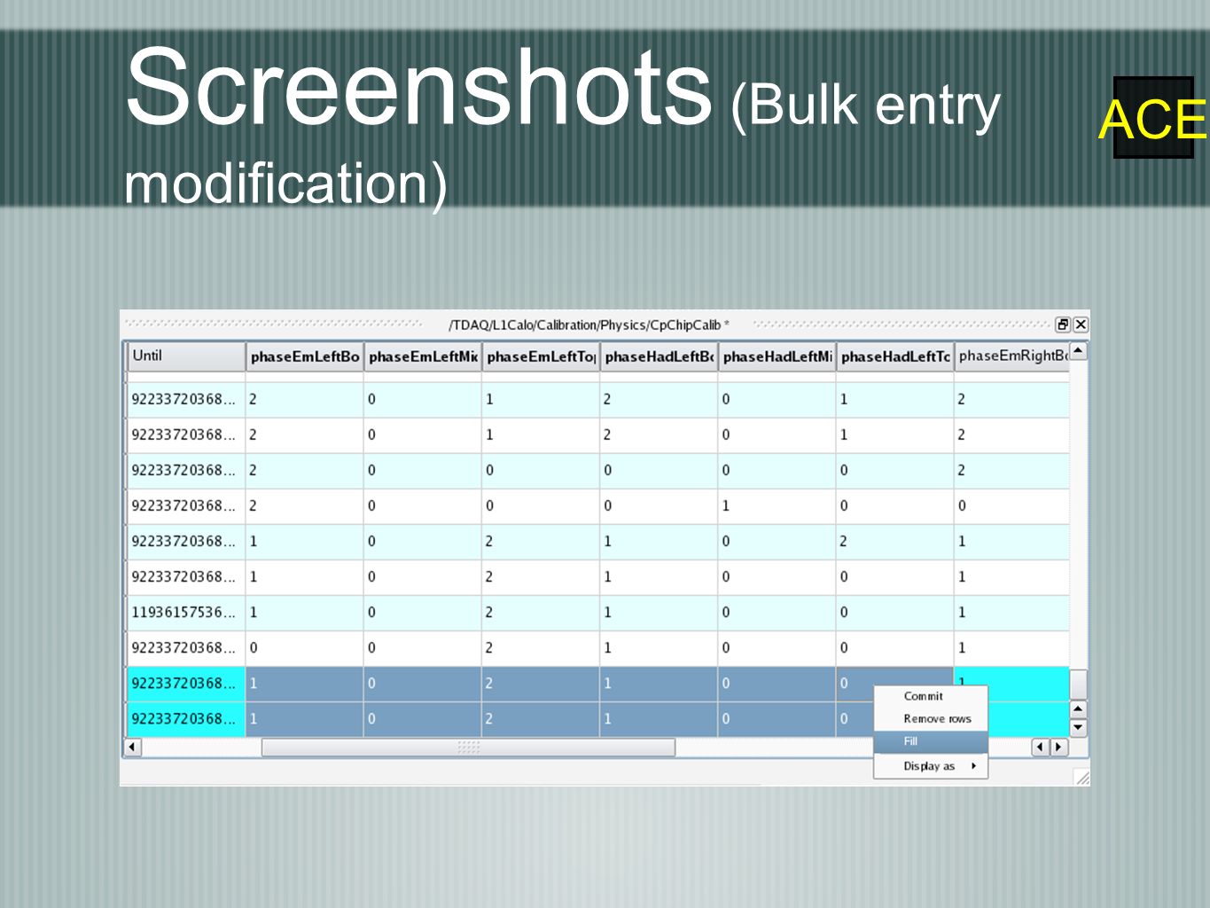 ACE Screenshots (Bulk entry modification)
