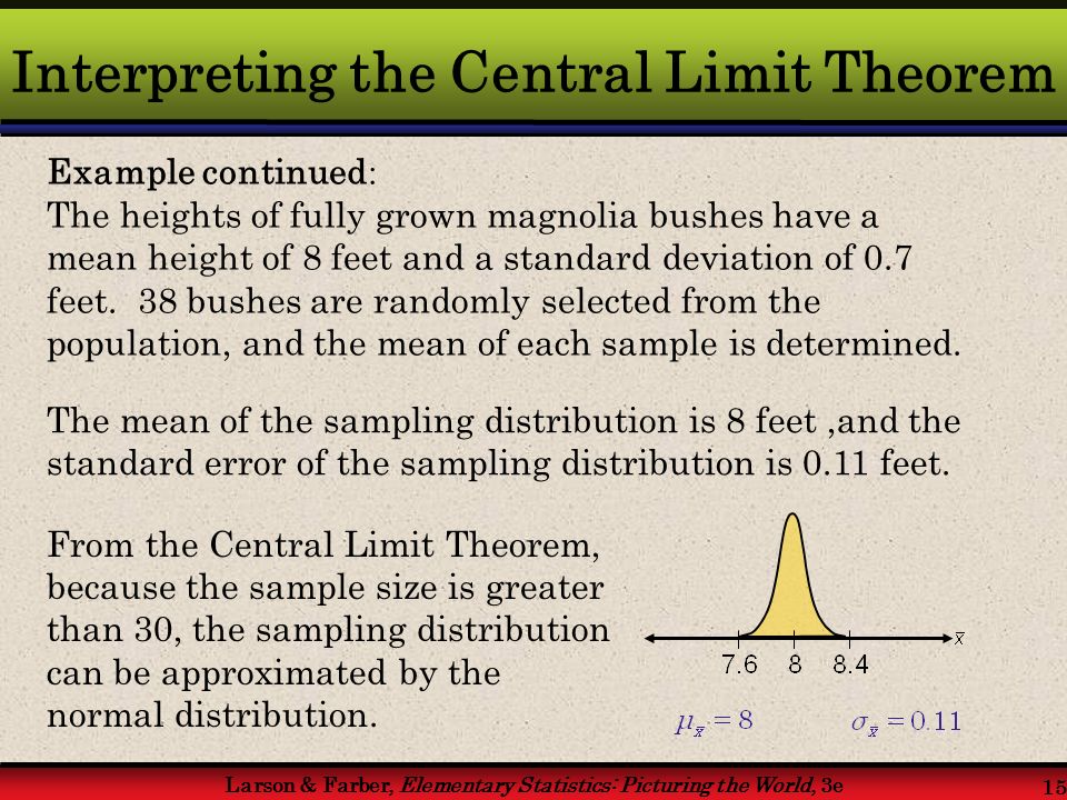 Larson & Farber, Elementary Statistics: Picturing the World, 3e 15 Interpreting the Central Limit Theorem Example continued : The heights of fully grown magnolia bushes have a mean height of 8 feet and a standard deviation of 0.7 feet.