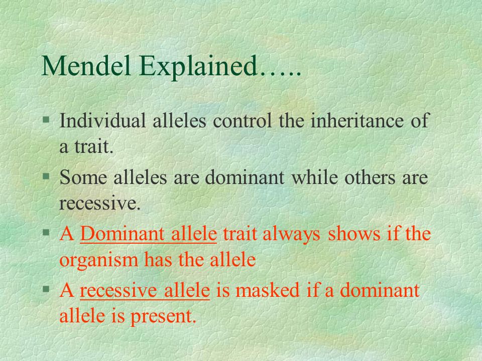Mendel Explained….. §Individual alleles control the inheritance of a trait.