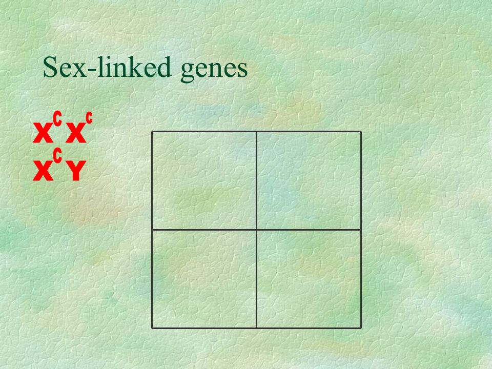 Sex-linked genes