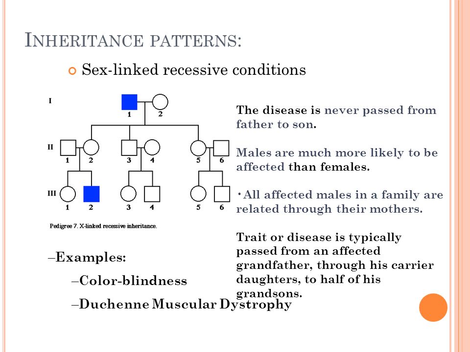 Sex linked recessive traits