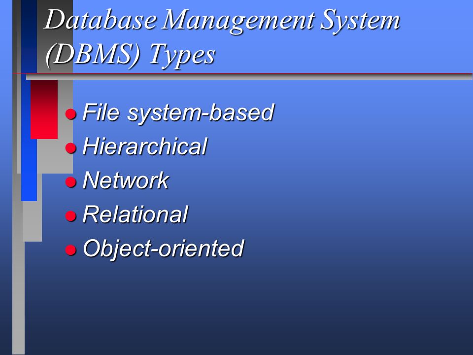 network database management system