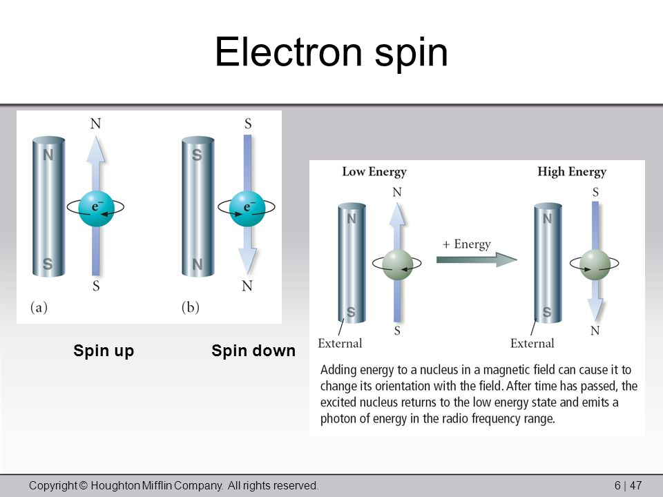 Copyright © Houghton Mifflin Company. All rights reserved.6 | 47 Electron spin Spin upSpin down