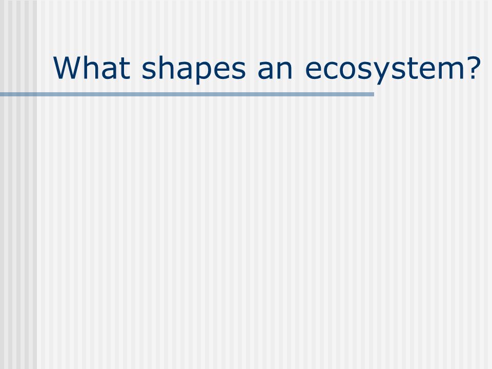 What shapes an ecosystem