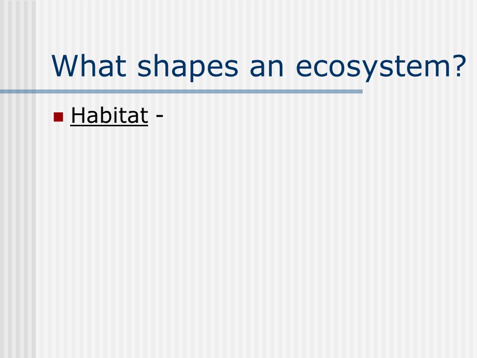 What shapes an ecosystem Habitat -