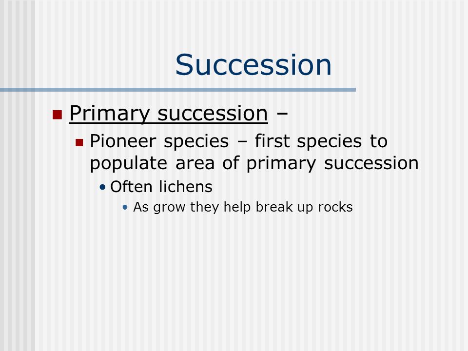 Succession Primary succession – Pioneer species – first species to populate area of primary succession Often lichens As grow they help break up rocks