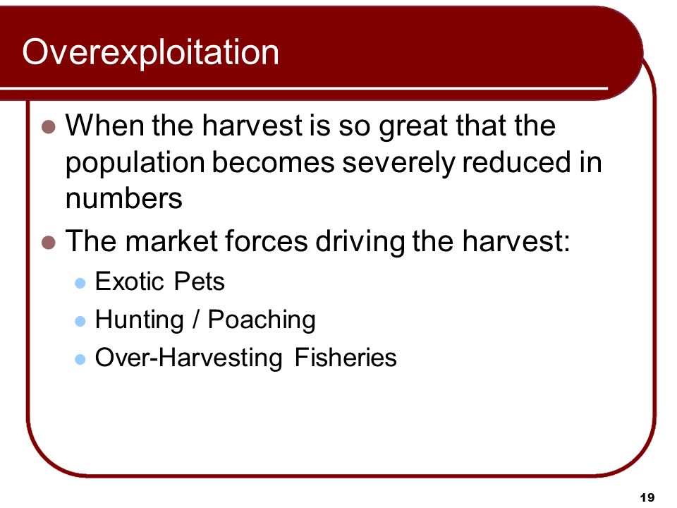 19 Overexploitation When the harvest is so great that the population becomes severely reduced in numbers The market forces driving the harvest: Exotic Pets Hunting / Poaching Over-Harvesting Fisheries