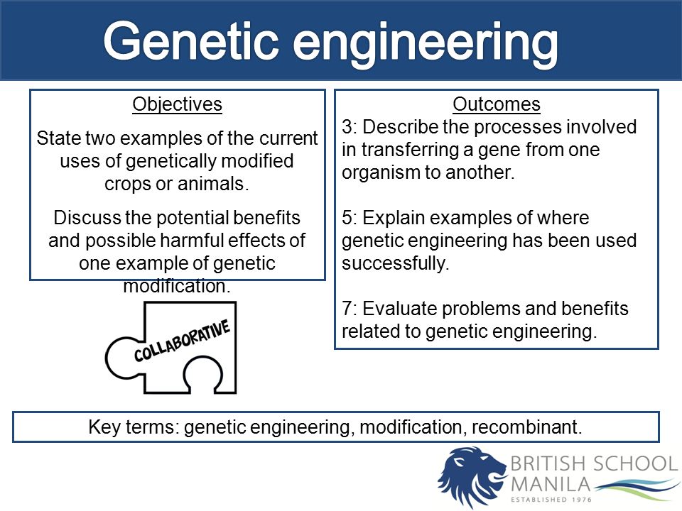 Advantage or disadvantage? Consequence of genetic  engineeringAdvantageDisadvantage Genetic engineering borderlines on many  moral issues, particularly involving. - ppt download