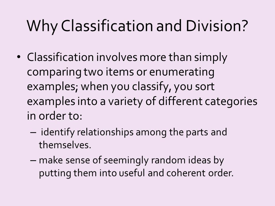 what is a classification and division essay
